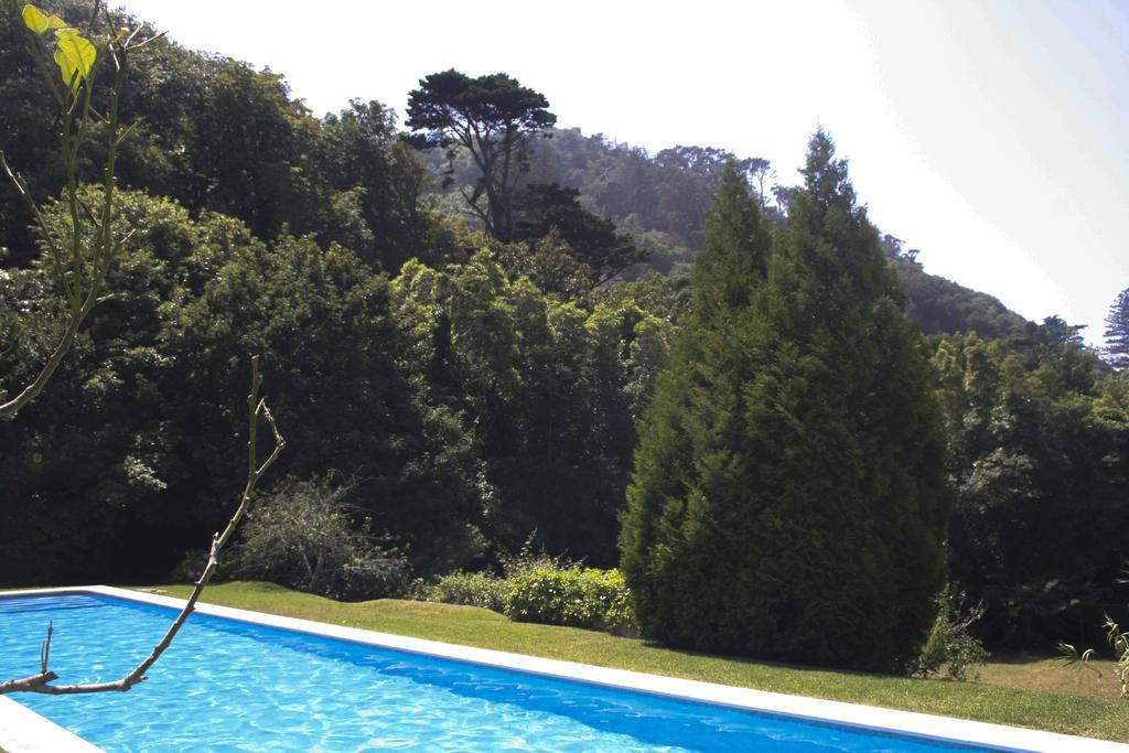 Hotel Sintra Jardim Ngoại thất bức ảnh